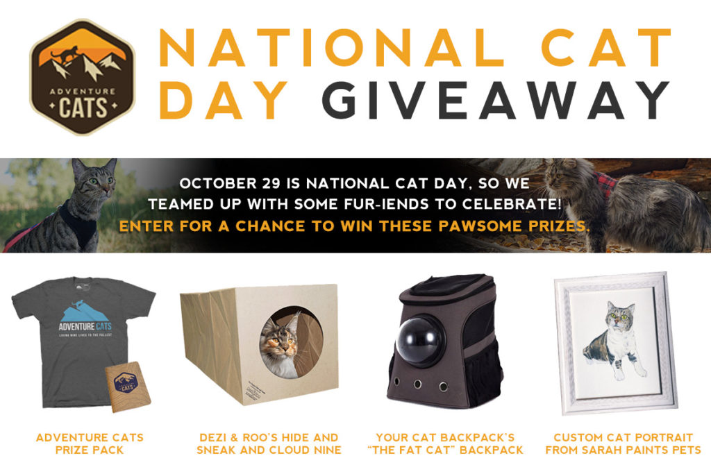 Adventure Cats Instagram giveaway