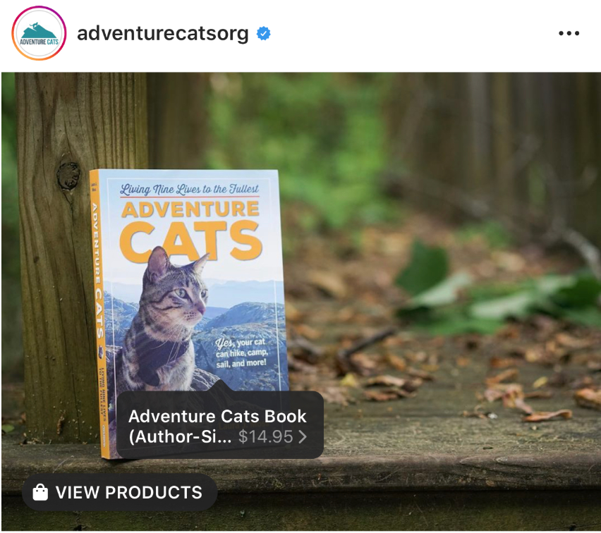 Adventure Cats book for sale on Instagram