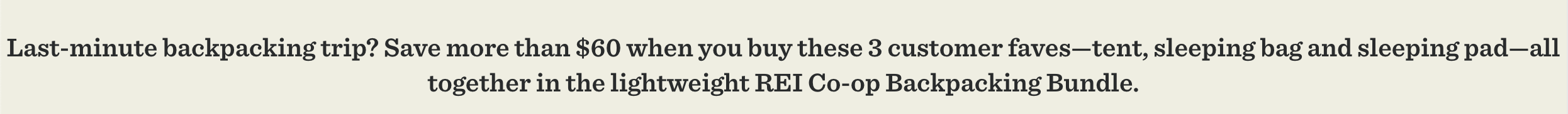 REI save money with bundle