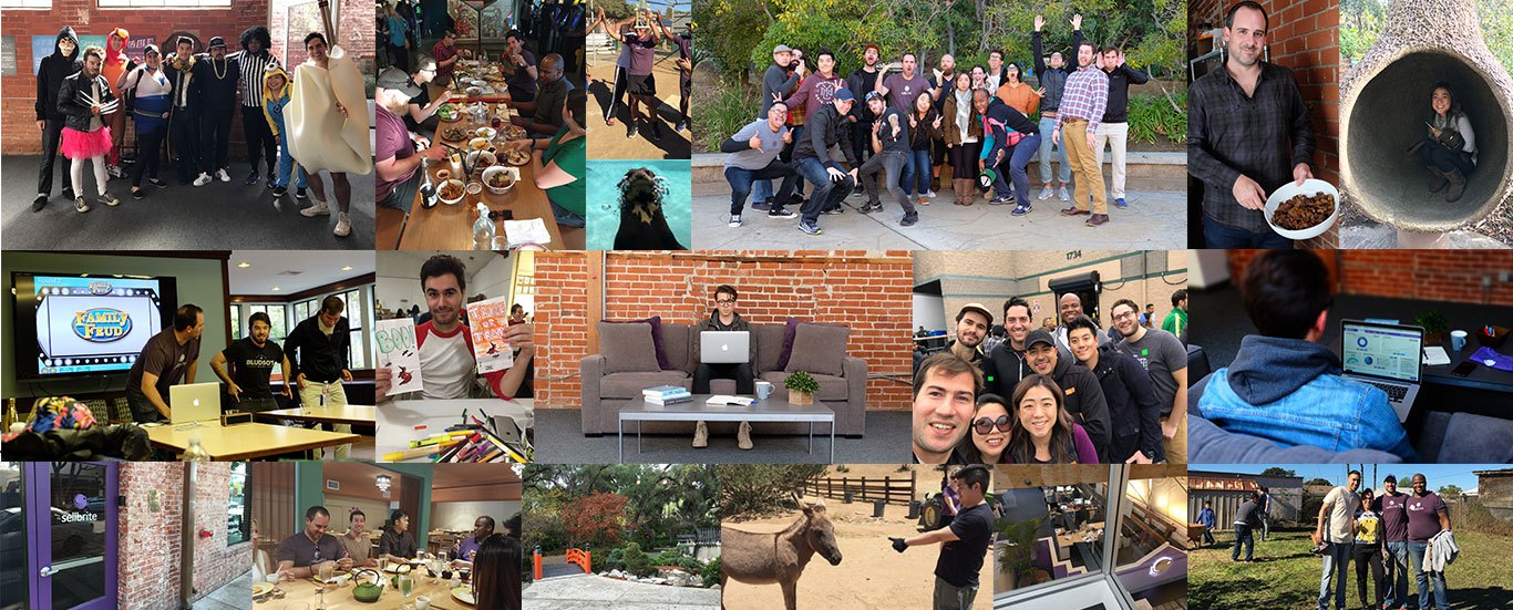 Team Collage