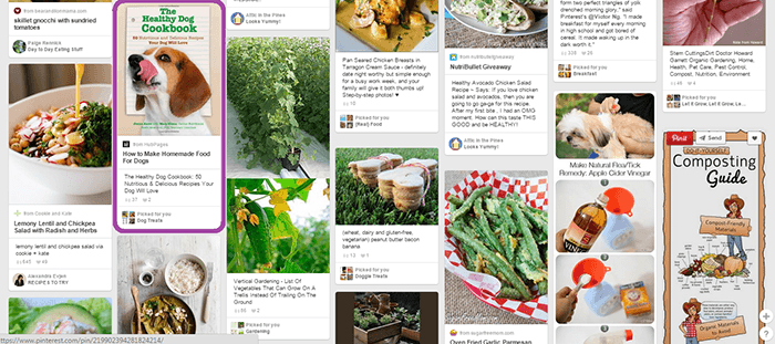 pinterest_feed