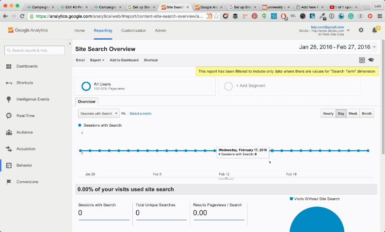 site-search-overview in google analytics