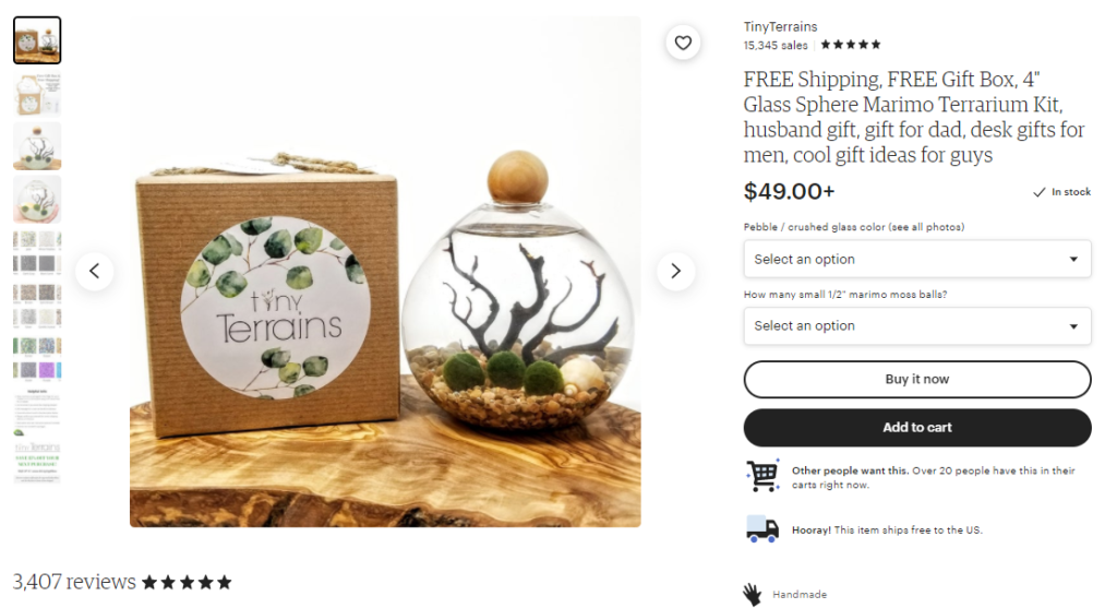 terrarium from Tiny Terrariums on Etsy