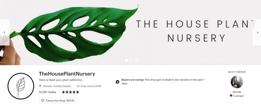 the house plant nursery etsy